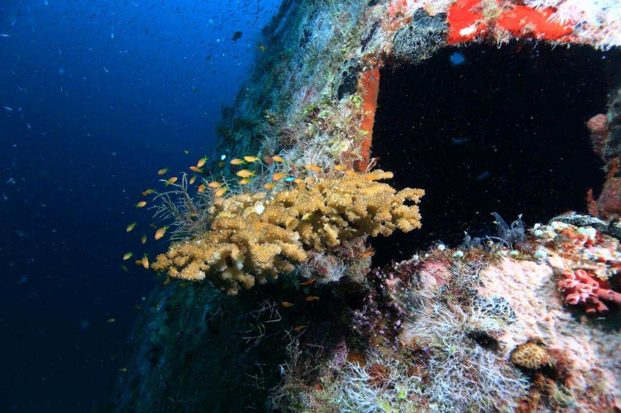 มิริฮิ ไอแลนด์ รีสอร์ท Mirihi Island ภายนอก รูปภาพ